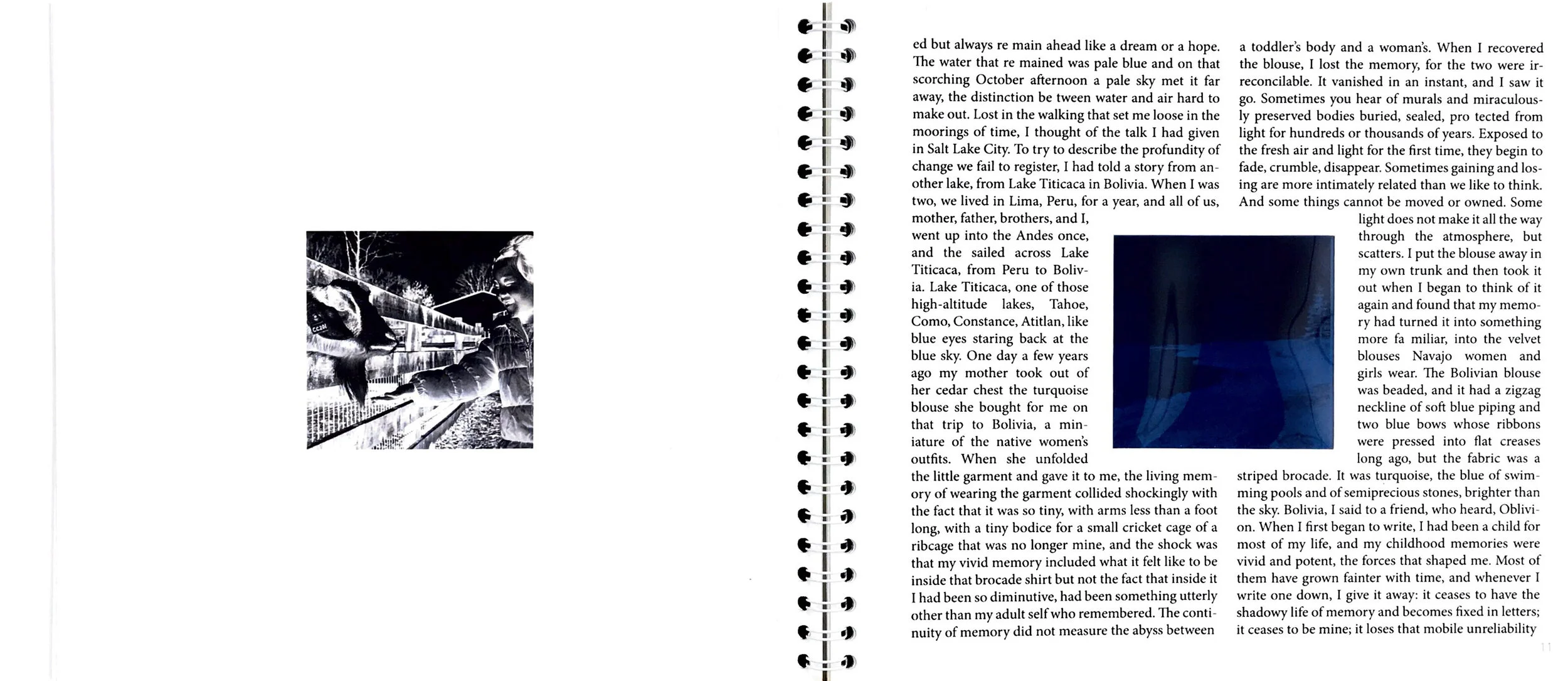 blueofdistancespread.jpg