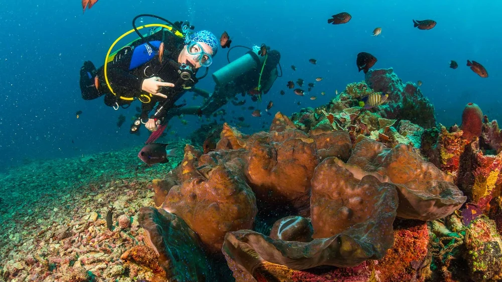 Lembeh Island Diving Resort — Froggies Divers: Relax and Dive