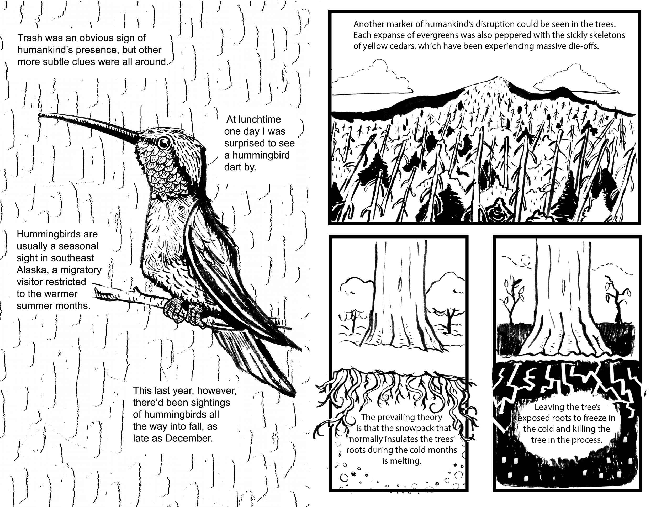 pg 20-21.jpg