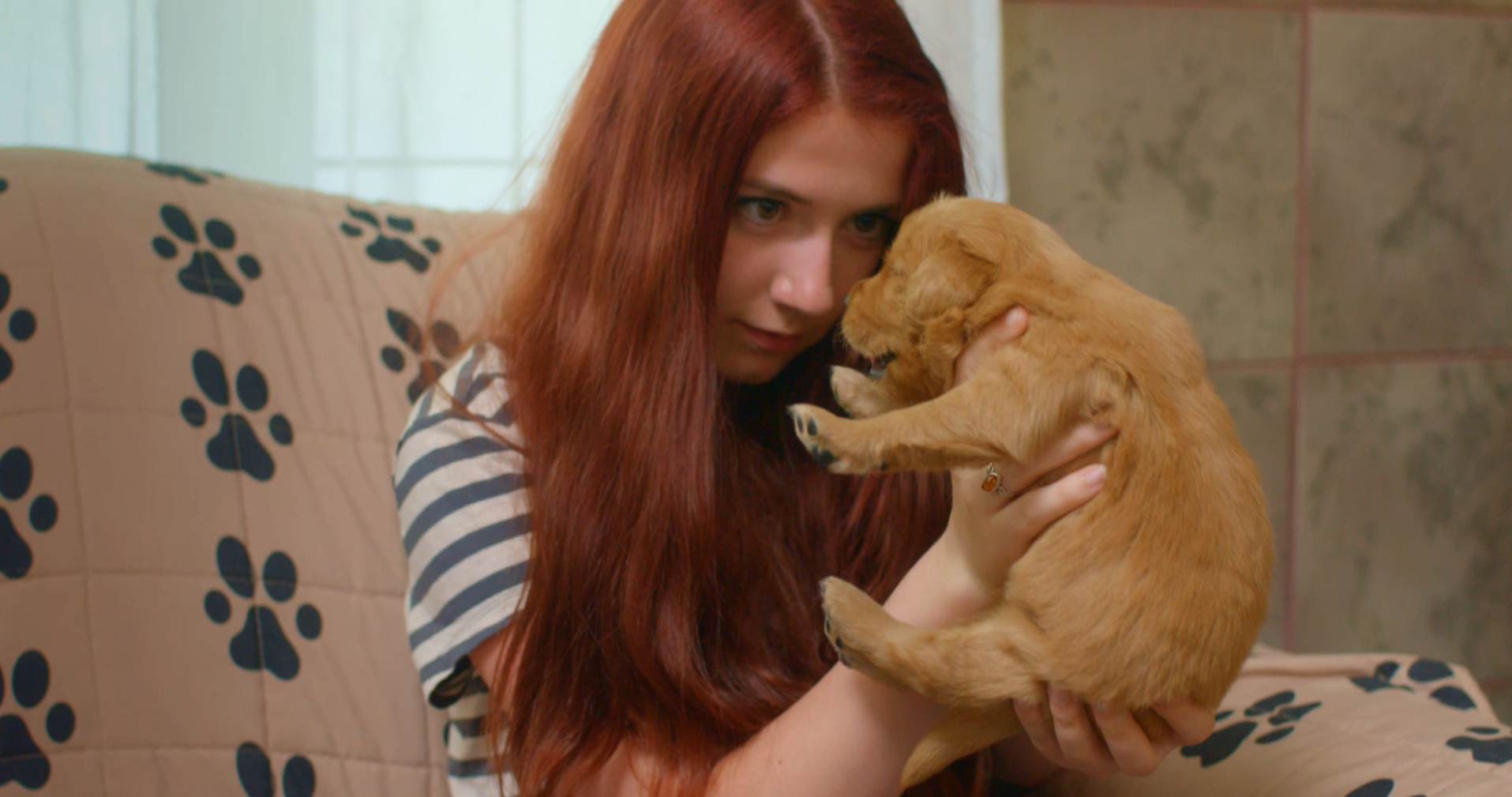 Baby Animals