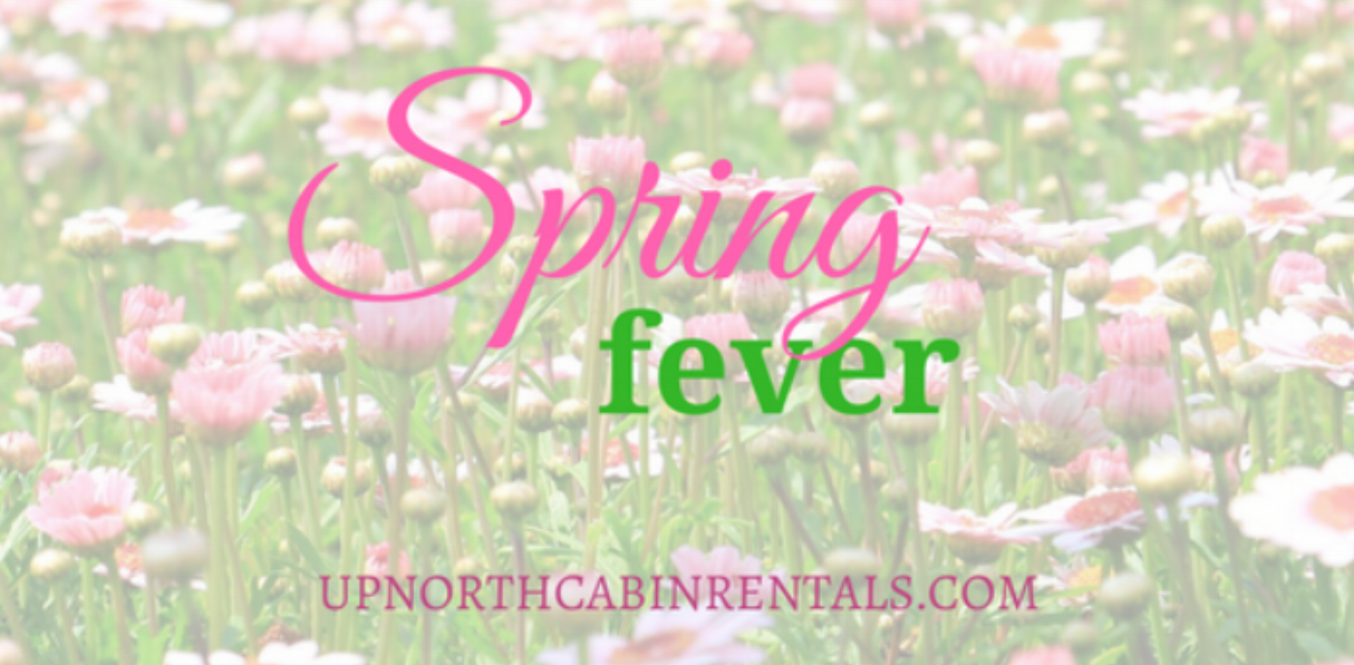 We've got Spring Fever — Up North Cabin Rentals/ Western Wisconsin