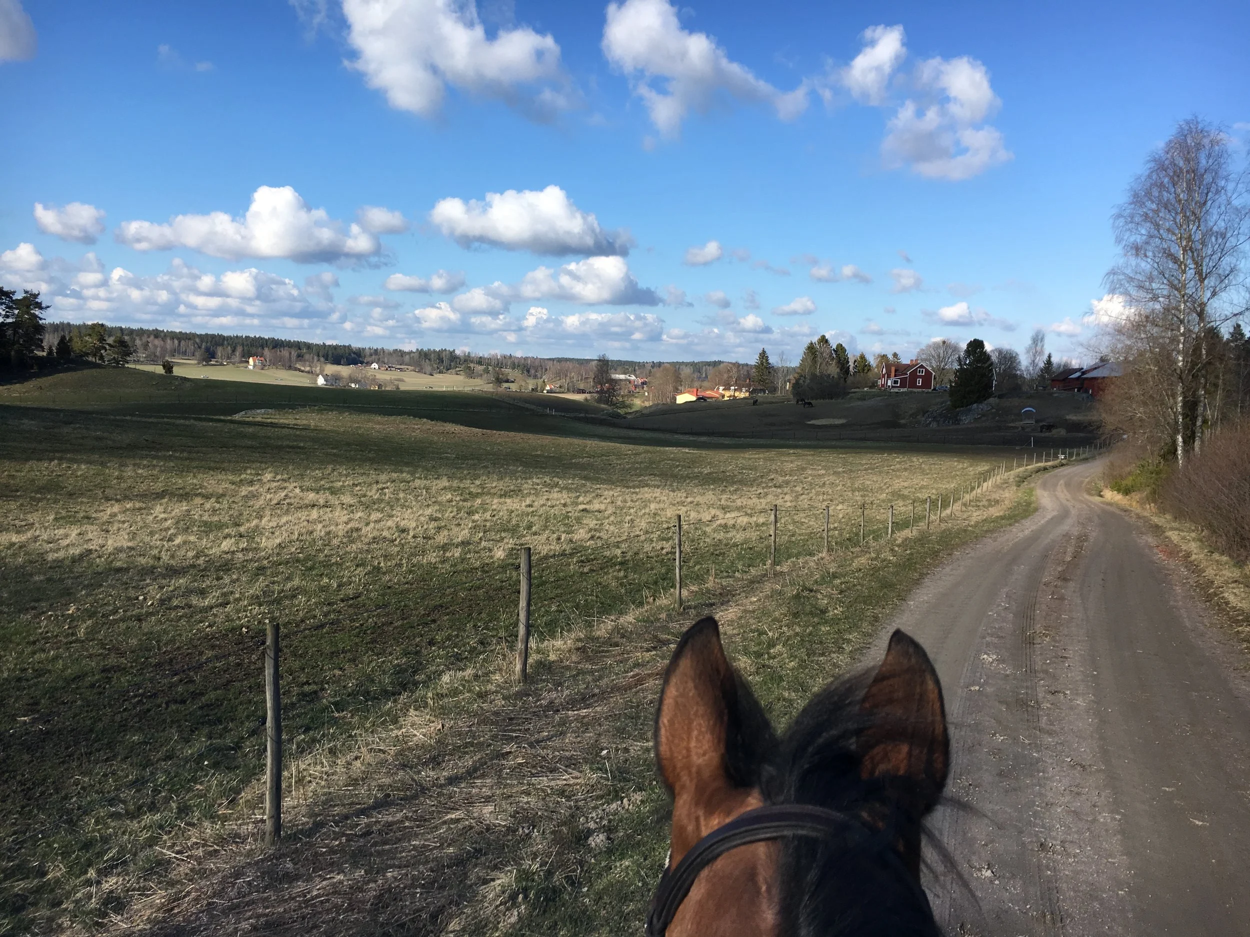 Möjlighet för dig som Driver egen hästverksamhet och vill utgå från Svärbro Gård