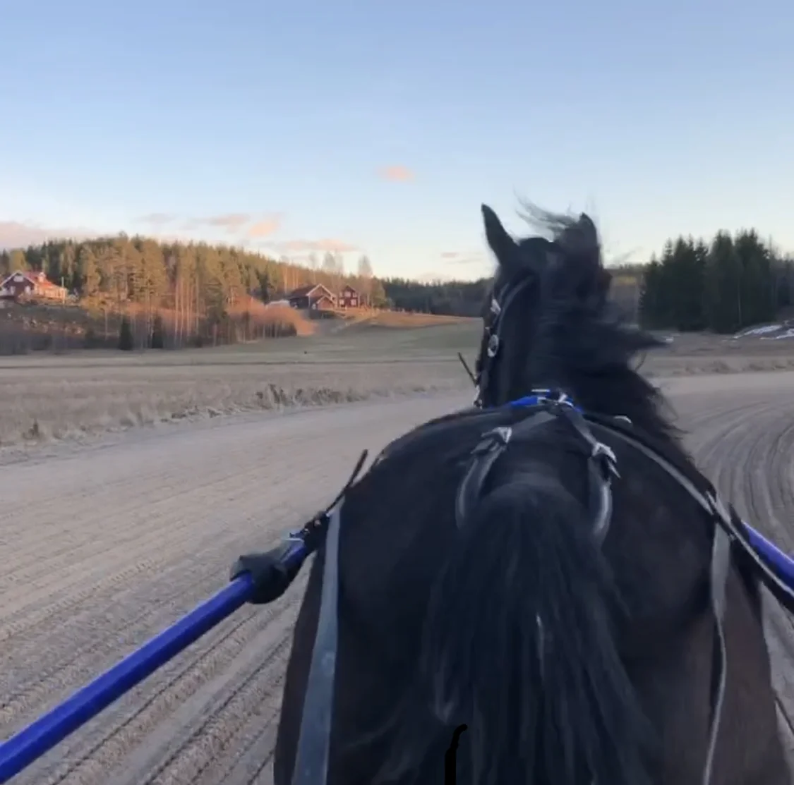 Välkomna att träna på vår rundbana (1010 m) och rakbana (850 m)!