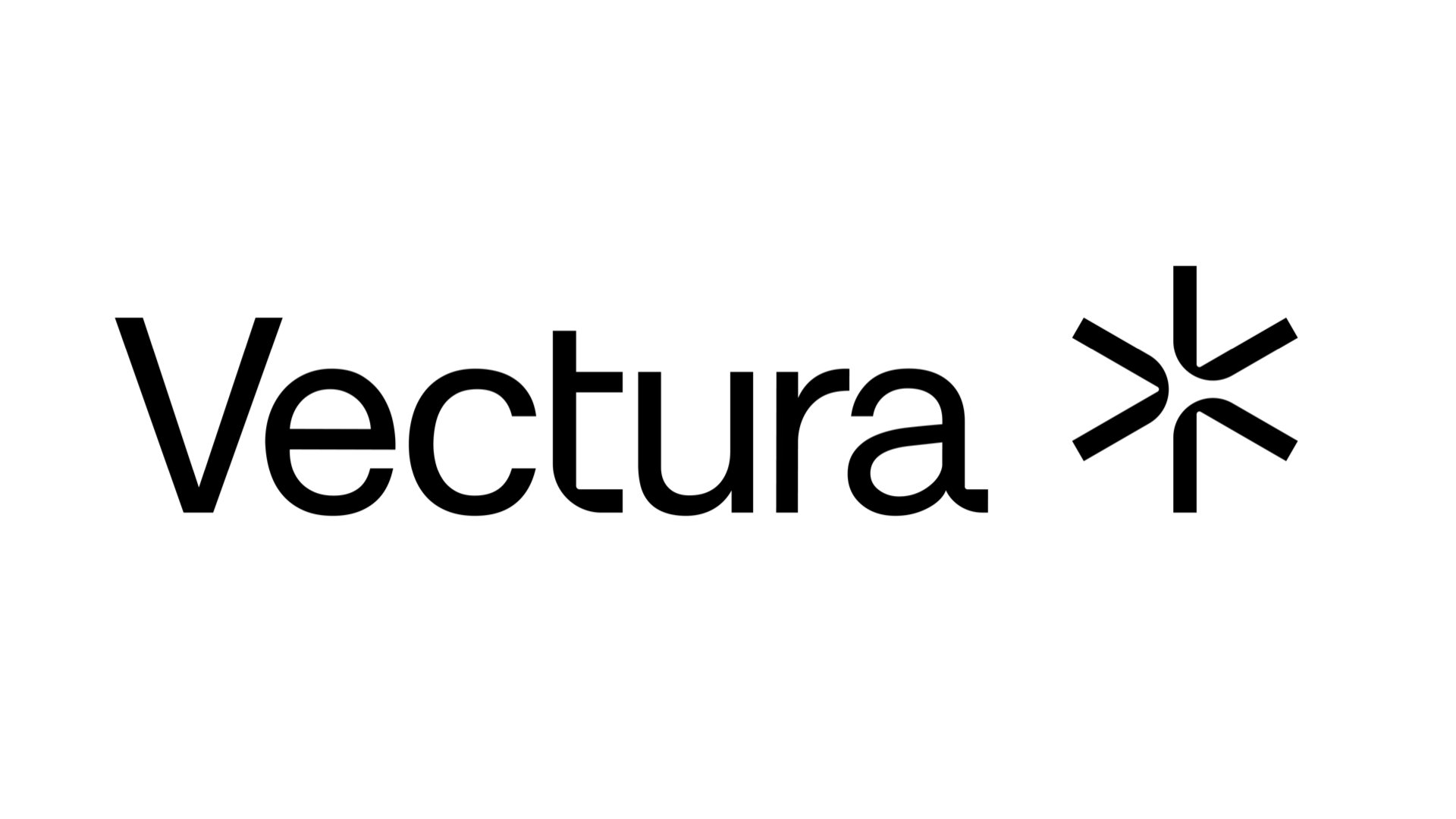 vectura.001.jpeg
