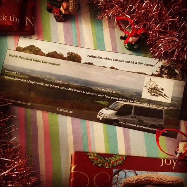 xmas voucher.jpg