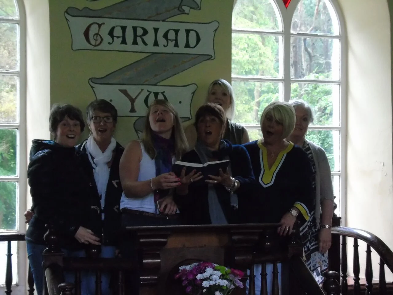 Ladys of Cilmeri.jpg