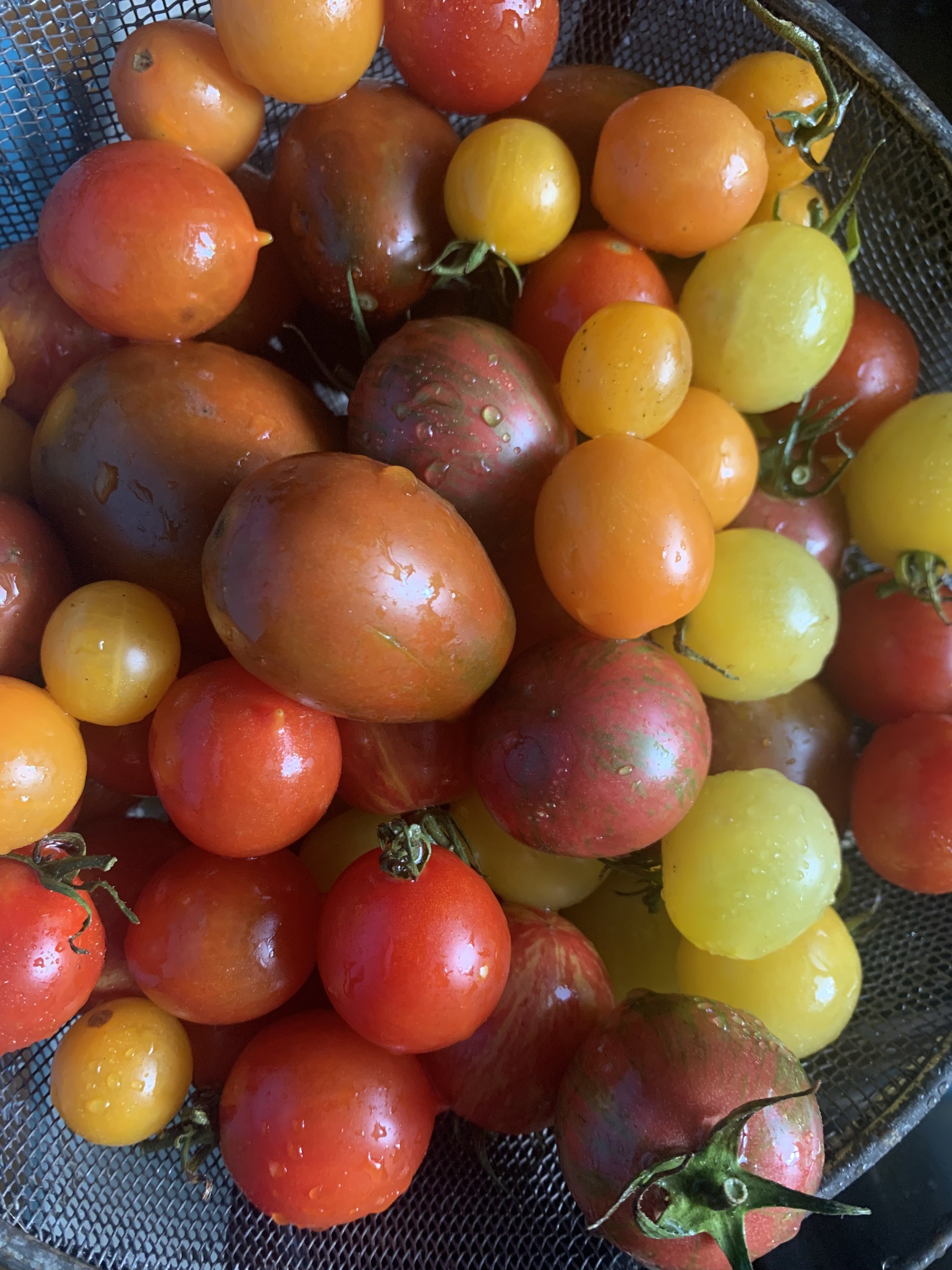 cherry tomatoes 2.jpg