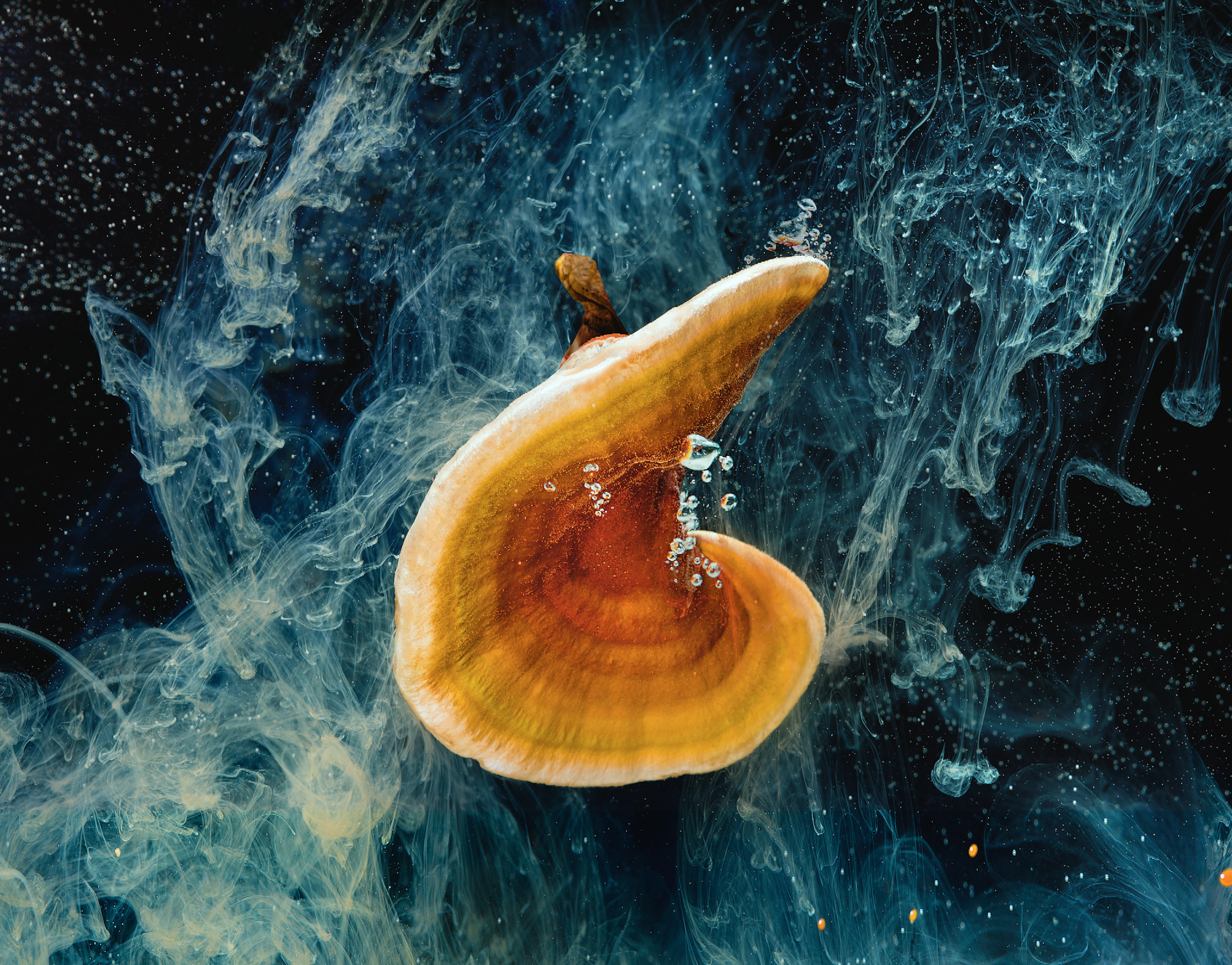 Screen Shot 2016-10-31 at 8.35.56 PM.png