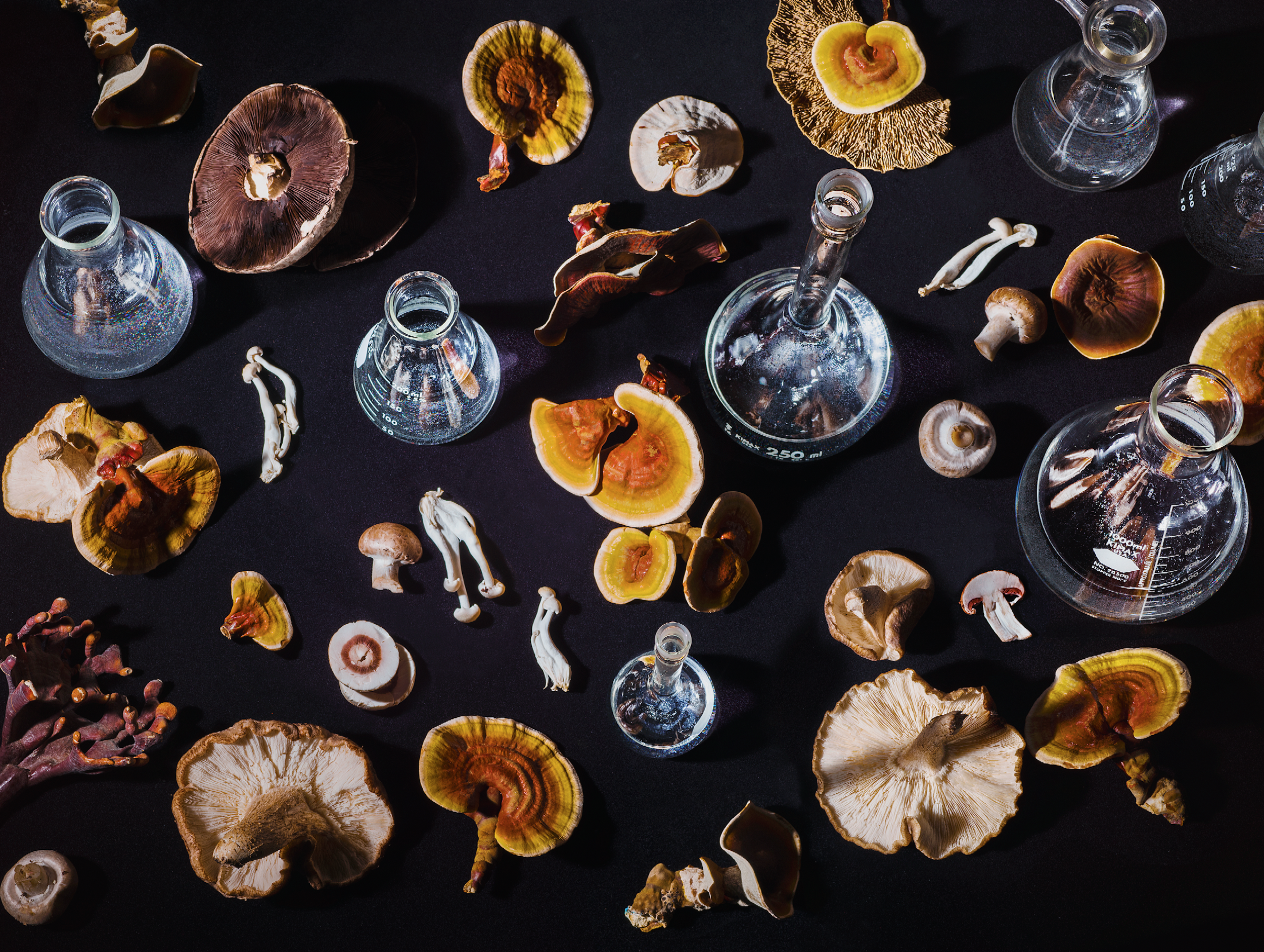 Screen Shot 2016-10-31 at 8.36.33 PM.png