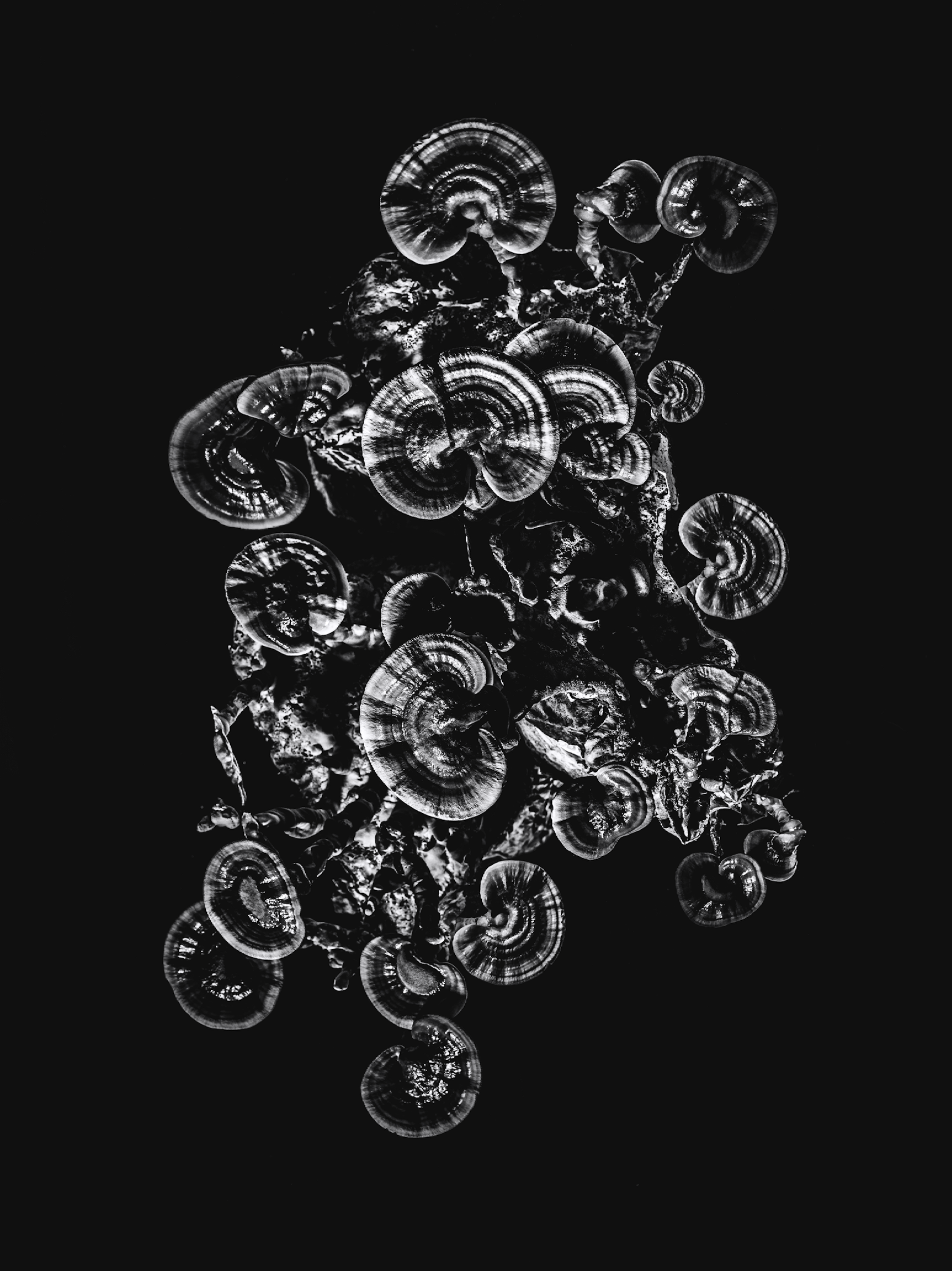 Screen Shot 2016-10-31 at 8.35.03 PM.png