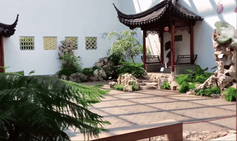 Animated GIF-downsized_large (4).gif