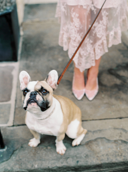 Lily+&+Sage+_+Luxury+Wedding+Planner+UK+_+Our+Chic+&+Romantic+Engagement+Shoot+in+Bath+_+Katie+Julia+Photography+-+031.jpg