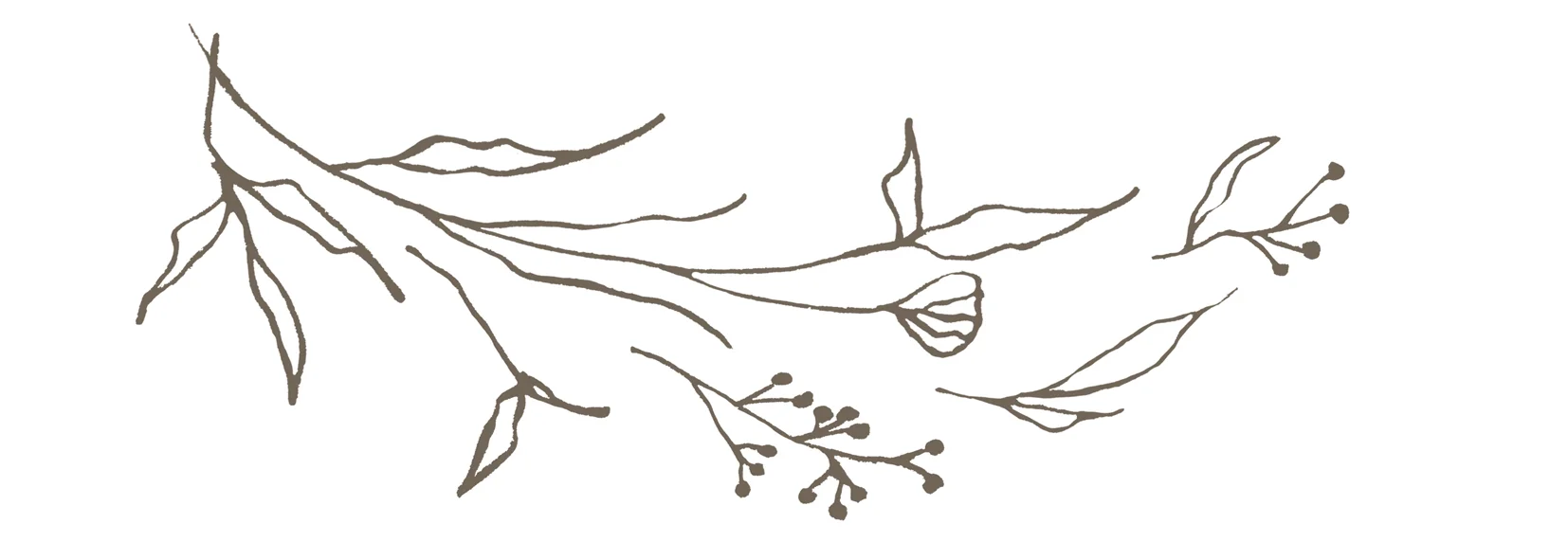 Flower.jpg