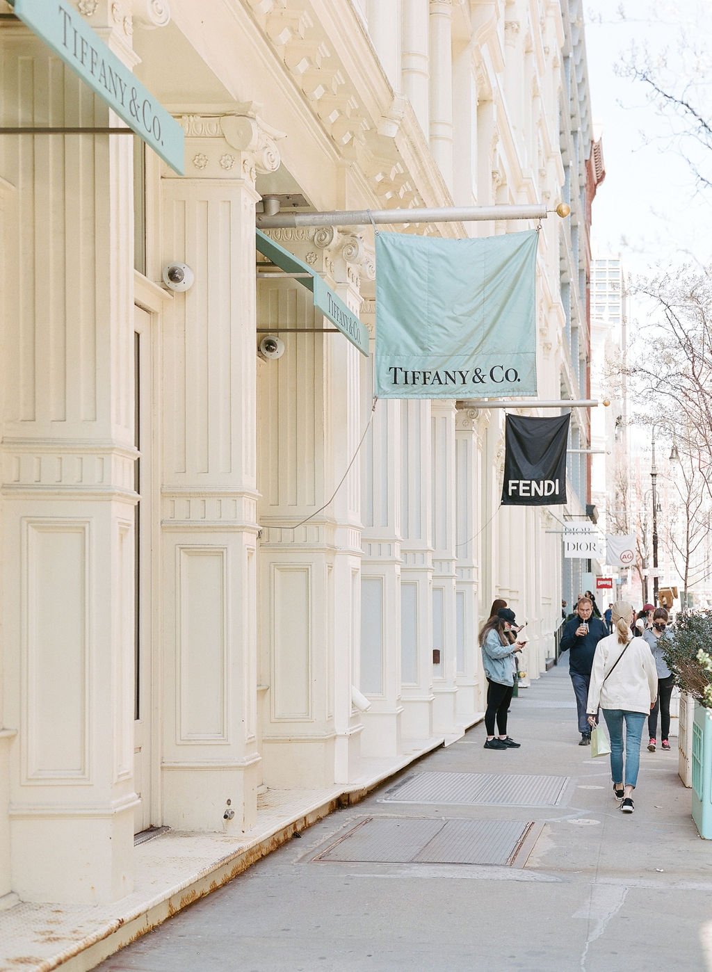 Lily & Sage | Luxury Wedding Planner Luxury Wedding Stylist Destination Wedding New York Engagement Session Fine Art Engagement Shoot New York Wedding Elegant Engagement Shoot | Molly Carr Photography