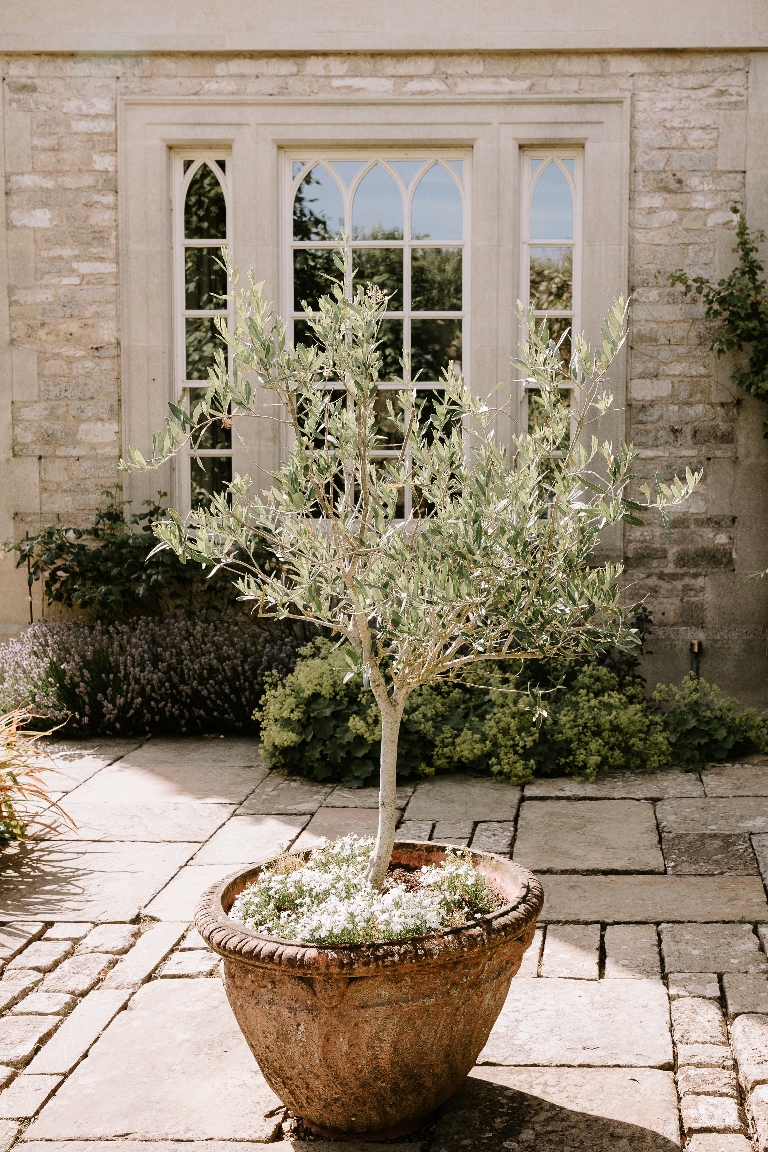 987Lily & Sage | Fiona & Sean Wedding | Luxury Wedding Planner European Wedding Desination Wedding Country House Wedding English Garden Wedding Cotswolds Wedding Timeless Wedding Pink Wedding Blush Wedding Peach Wedding | Barker Evans PhotographyA.jpg