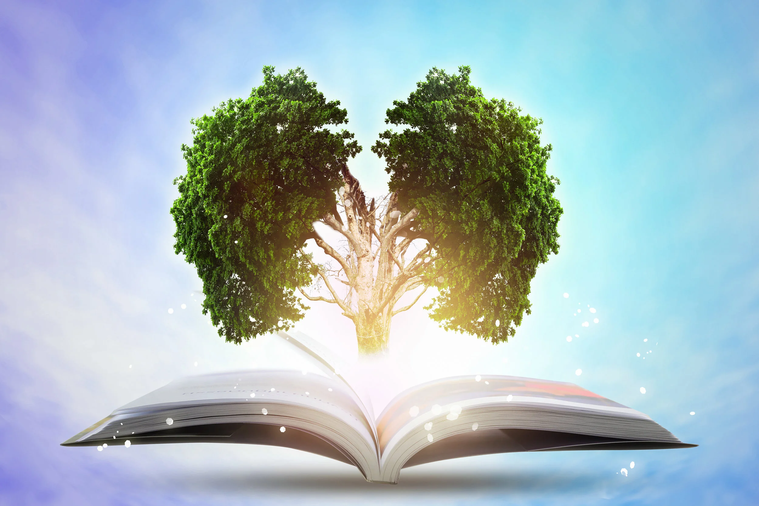 What is Neuro-Linguistic Programming™?