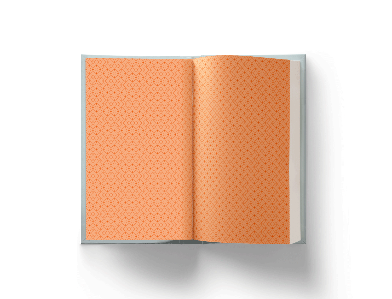 cover_vorsatz1.png