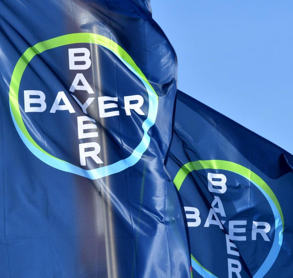 Bayer employer branding campaign strategy and concept. Bijan 2017.