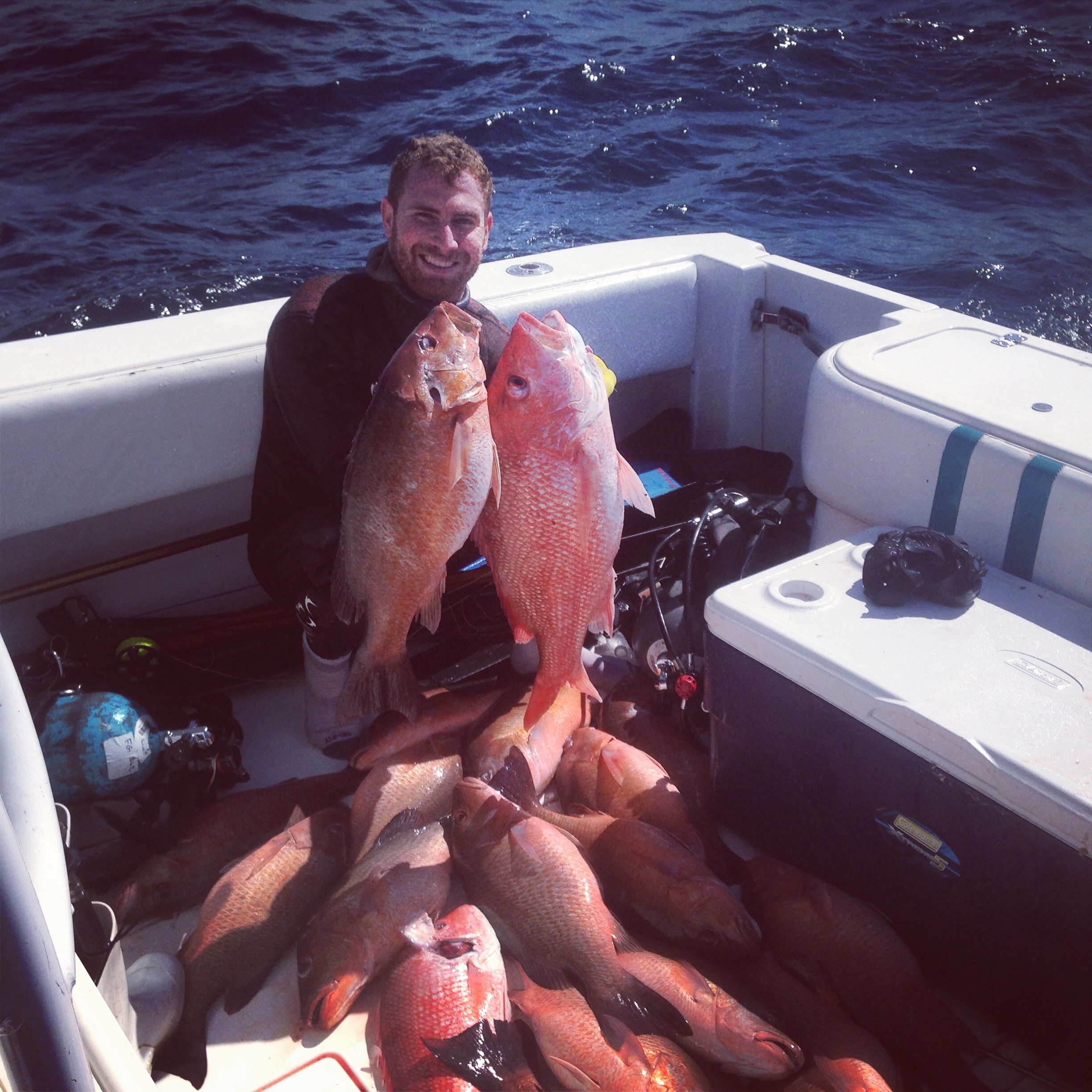 Snapper bonanza