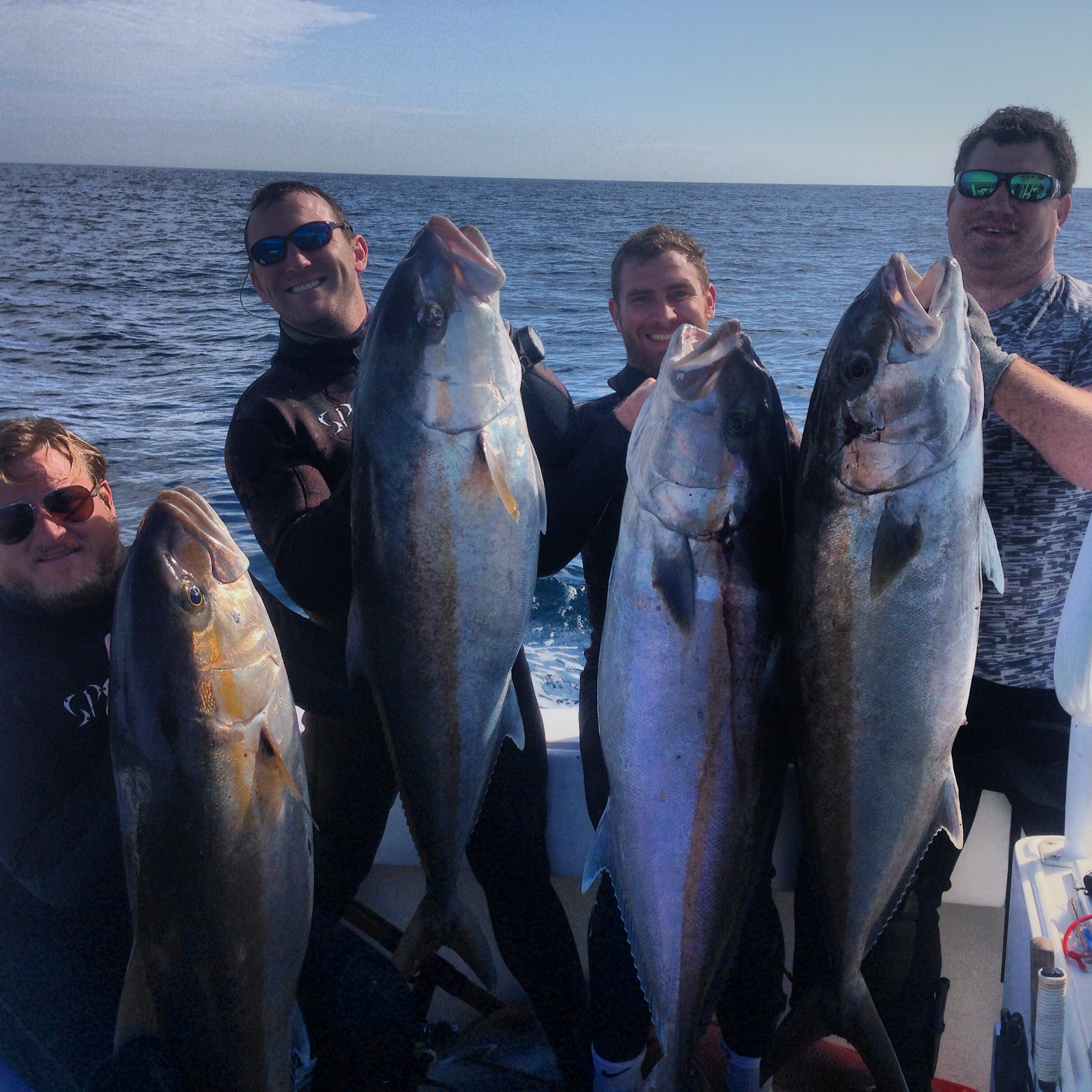 Amberjack season