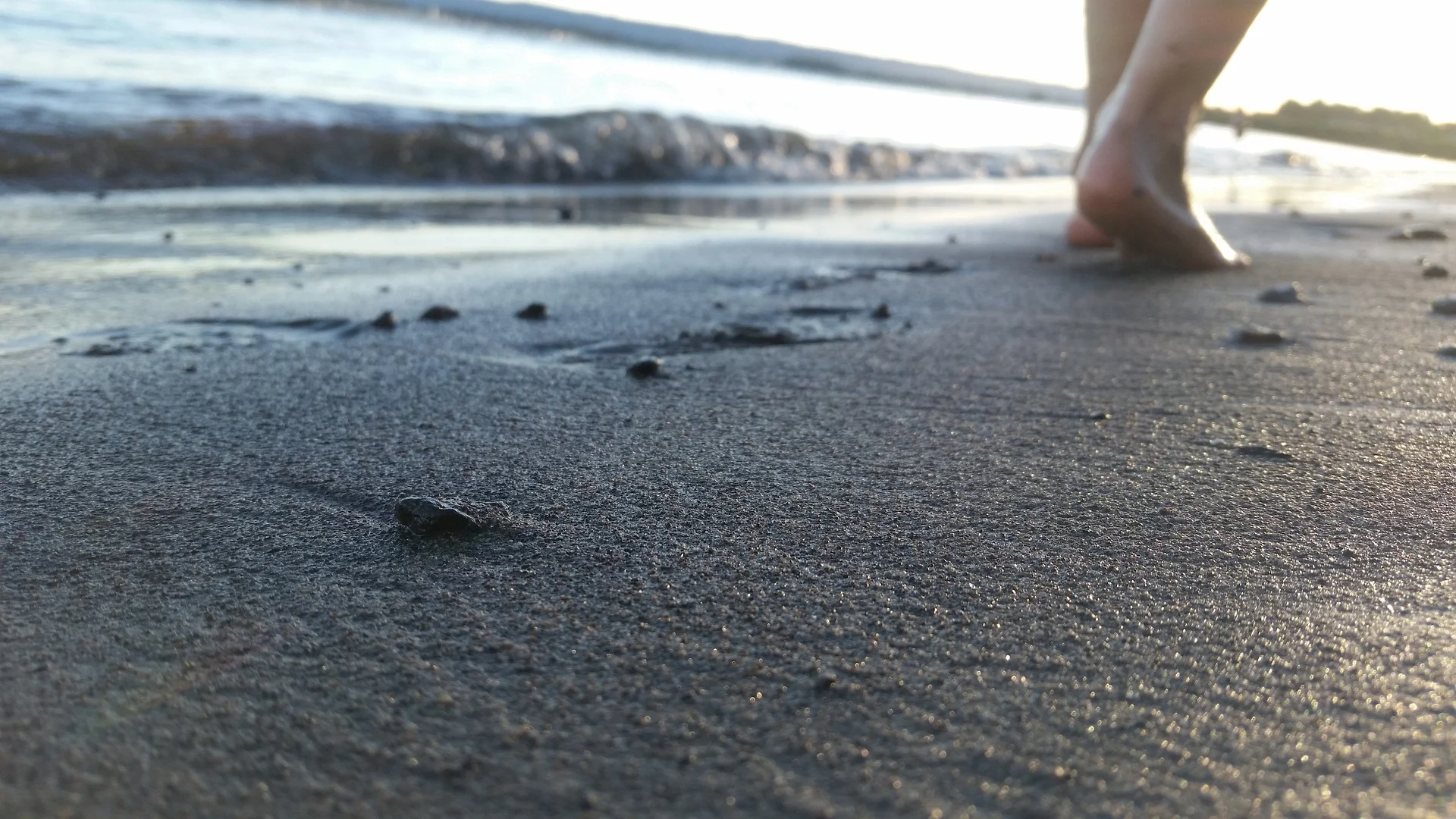 feet-3574361_1920.jpg