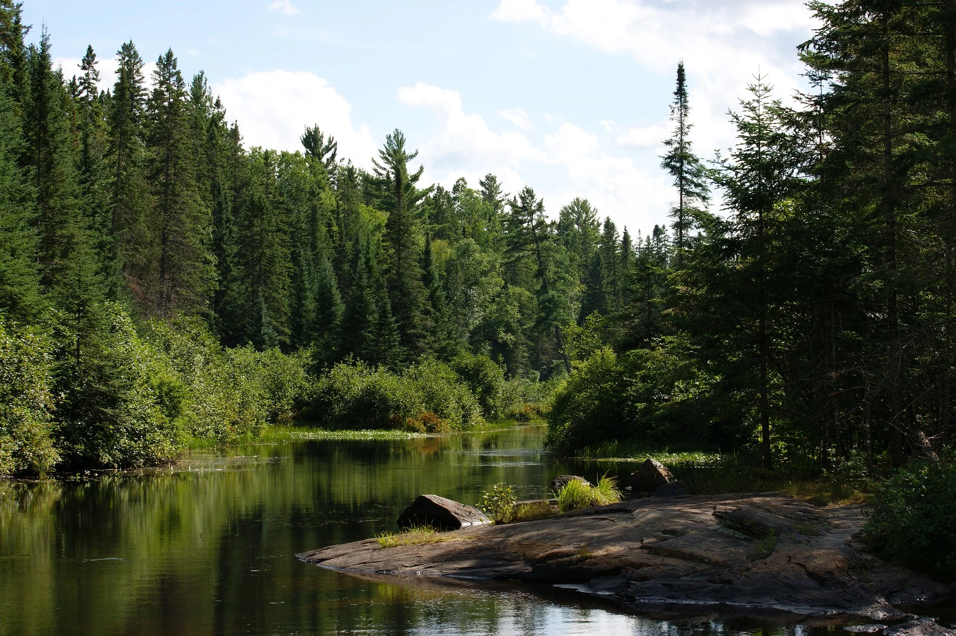 algonquin-provincial-park-1748100_1920.jpg