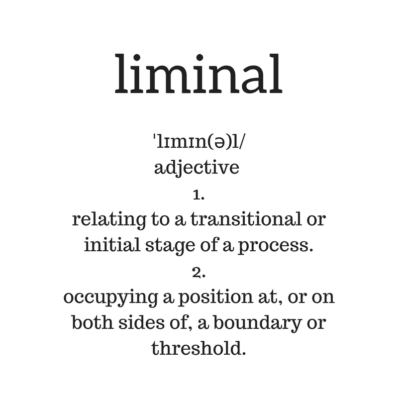 liminalˈlɪmɪn(ə)l%2FSubmitadjectivetechnicaladjective_ liminal1.relating to a transitional or initial stage of a process.2.occupying a position at, or on both sides of, a boundary or threshold..jpg