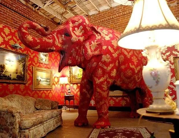 Banksy’s Elephant in the Room