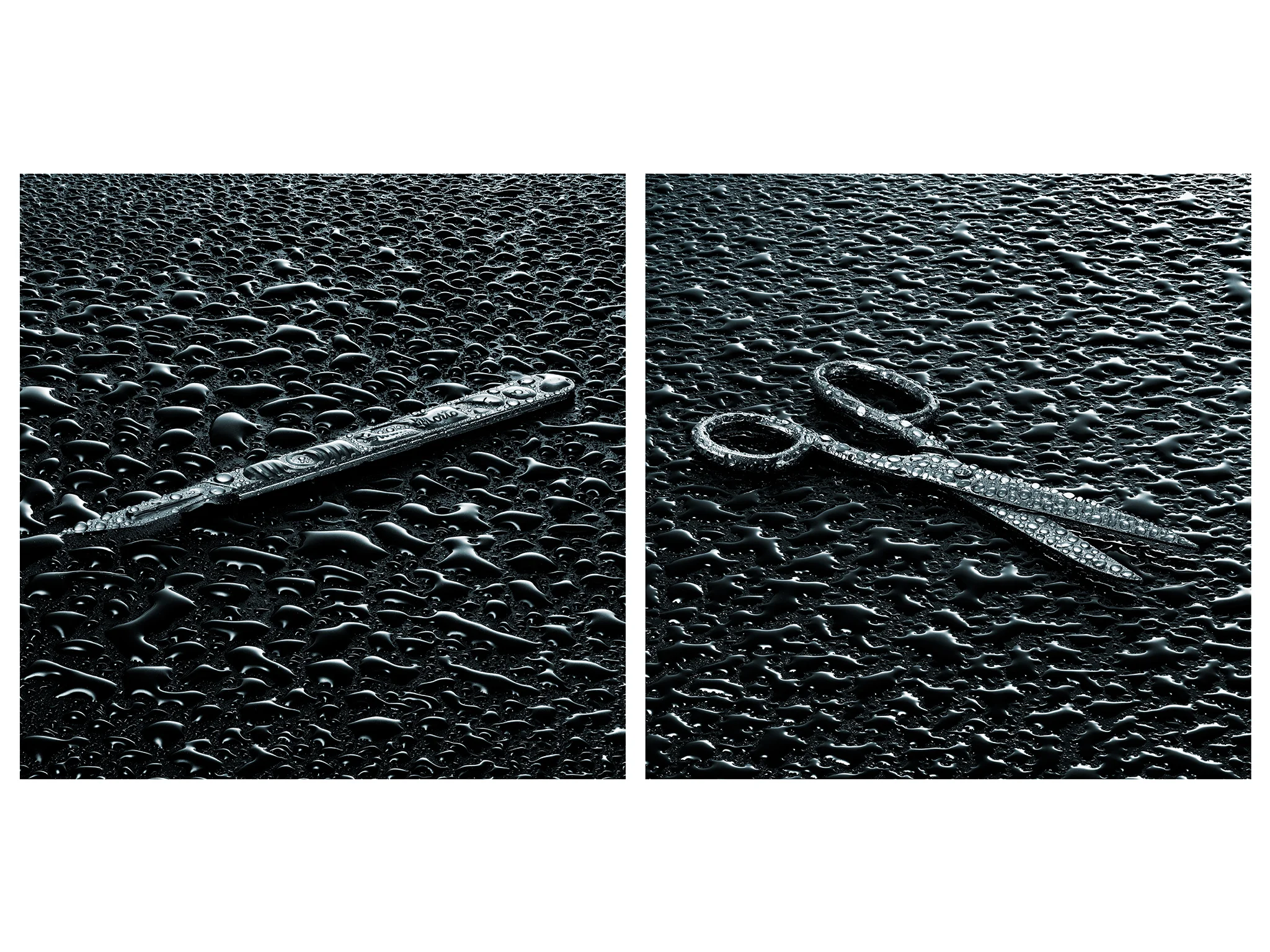 Scapel & Scissors folio.jpg