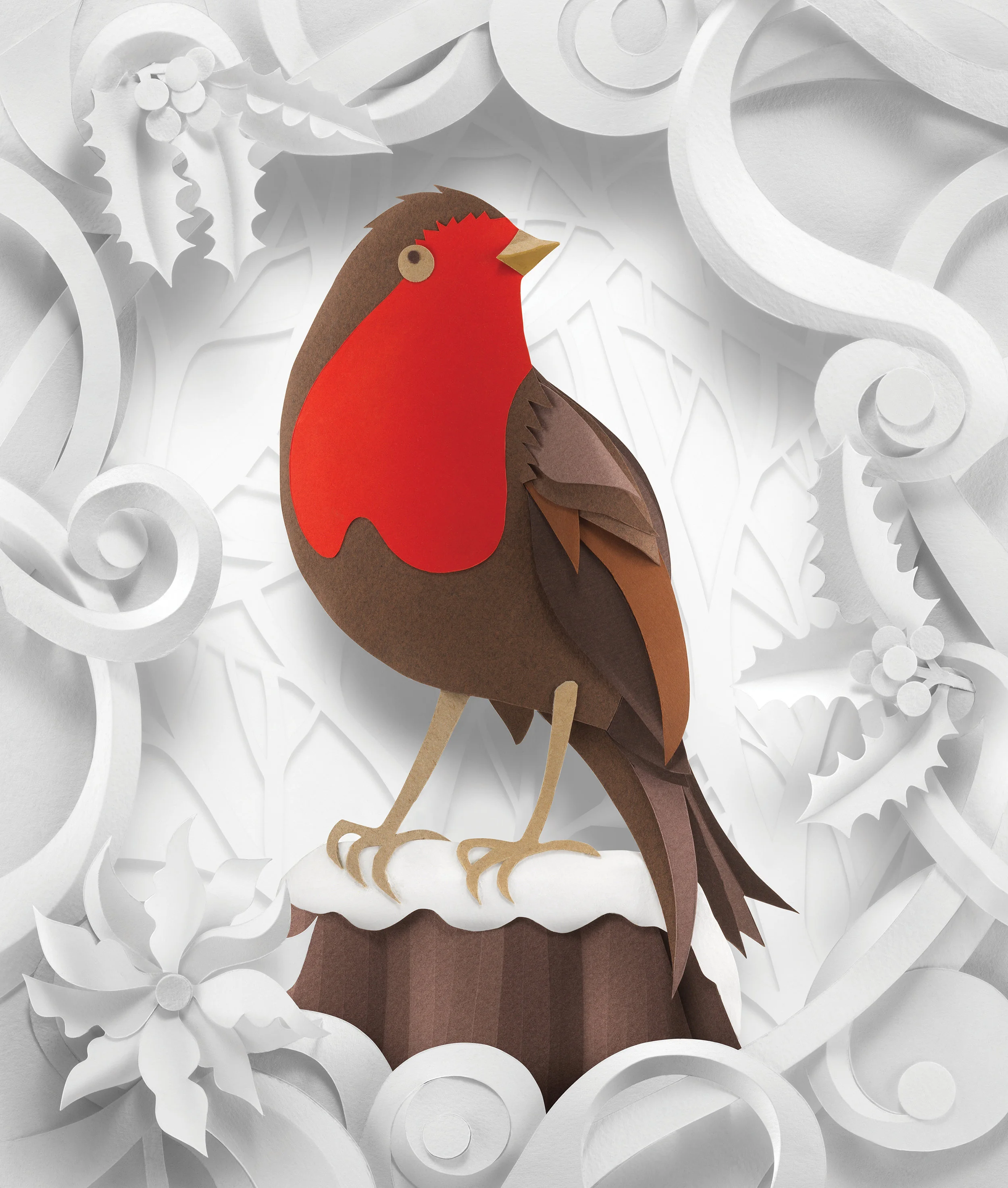 Robin Cropped.jpg