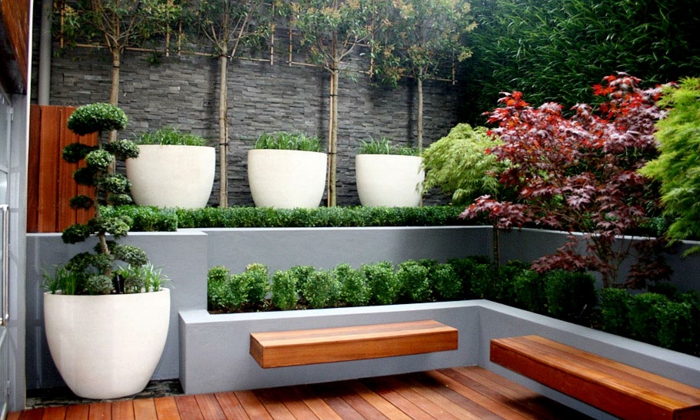 jardineras-ideas-bonsai-colores.jpg