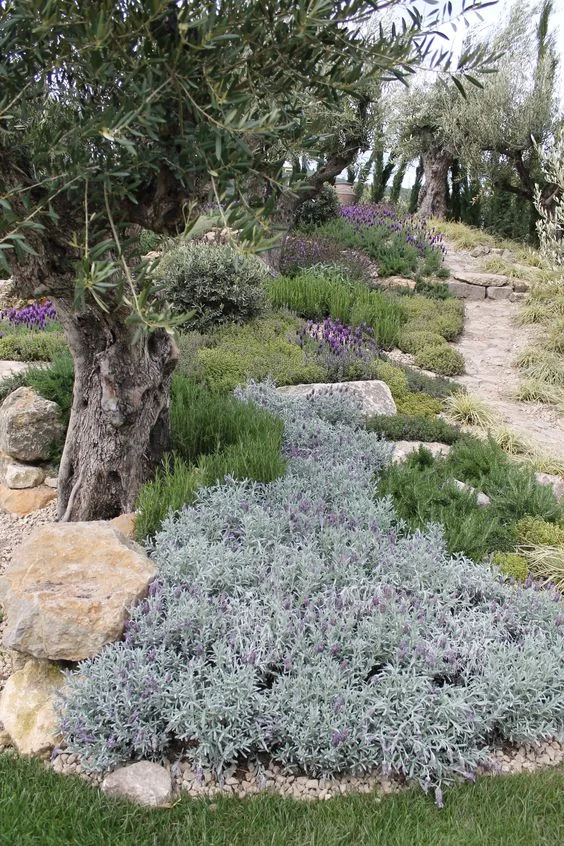 Jardineros especialistas en plantas de especies autóctonas que ayudan a prevenir la sequía y desertificación en Castellón