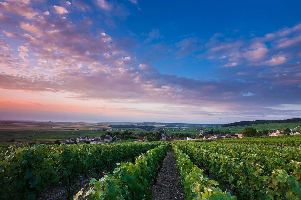 drink nice(r): ONE YEAR ANNIVERSARY