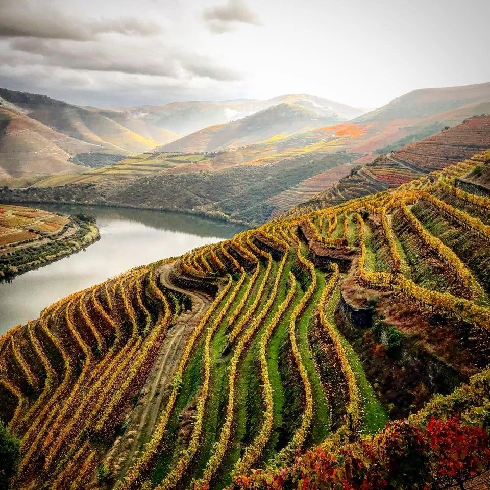 drink nice(r): portugal