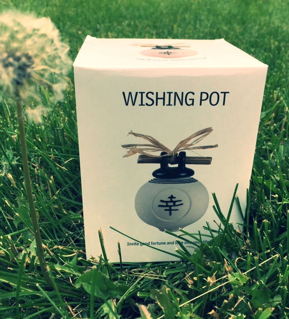 wishingpot.jpeg