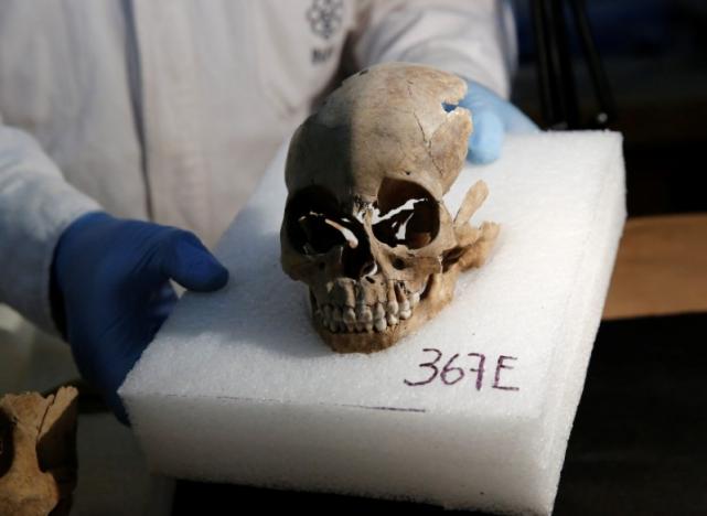 Abel Guzman, a biological anthropologist from the National Institute of Anthropology and History (INAH), examines a skull discovered at a site where more than 650 skulls caked in lime and thousands of fragments were found in the cylindrical edifice near Templo Mayor, one of the main temples in the Aztec capital Tenochtitlan, which later became Mexico City, Mexico June 30, 2017. REUTERS/Henry Romero