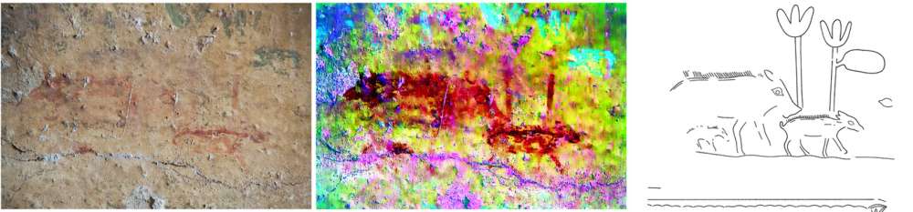 he researchers identified a third pig in this image. Evans et al
