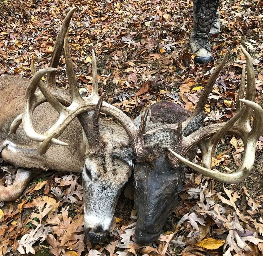 @ Kentucky Department of Fish and Wildlife / Facebook