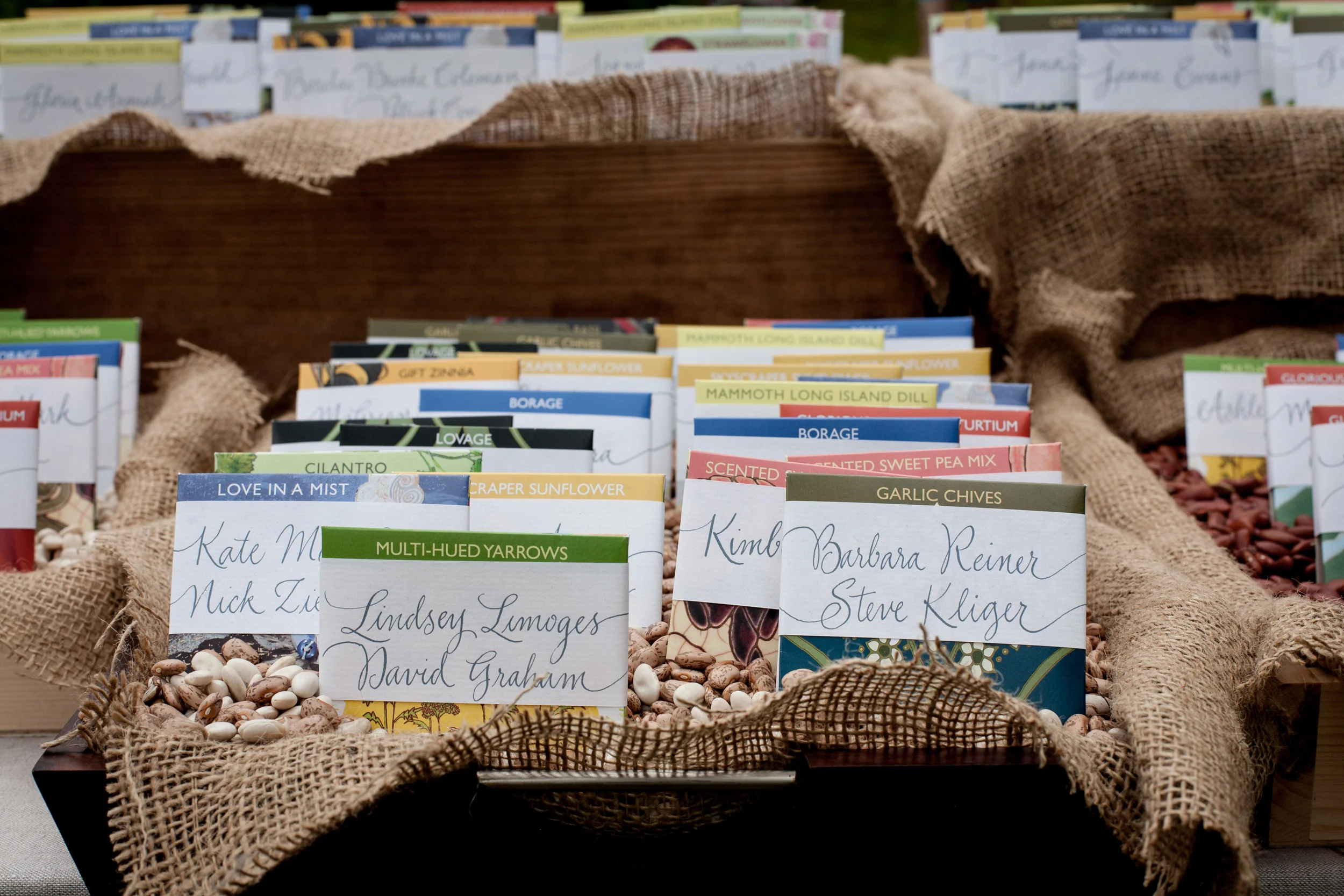 Cathy Volpe Calligraphy by Lion in the Sun on Hudson Valley Seeding Company seed packets!
