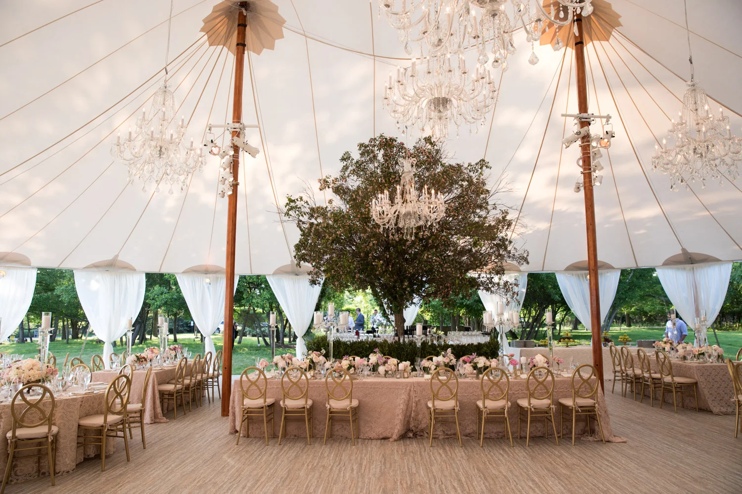 Donofrio_Tent.jpg