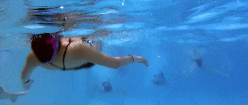 5 - Fish.jpg