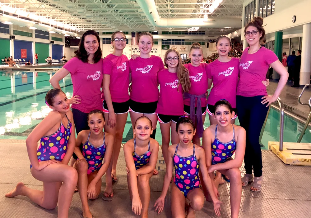 Imagine Synchro Team Small.jpg