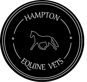 Hampton Equine Vets Ltd