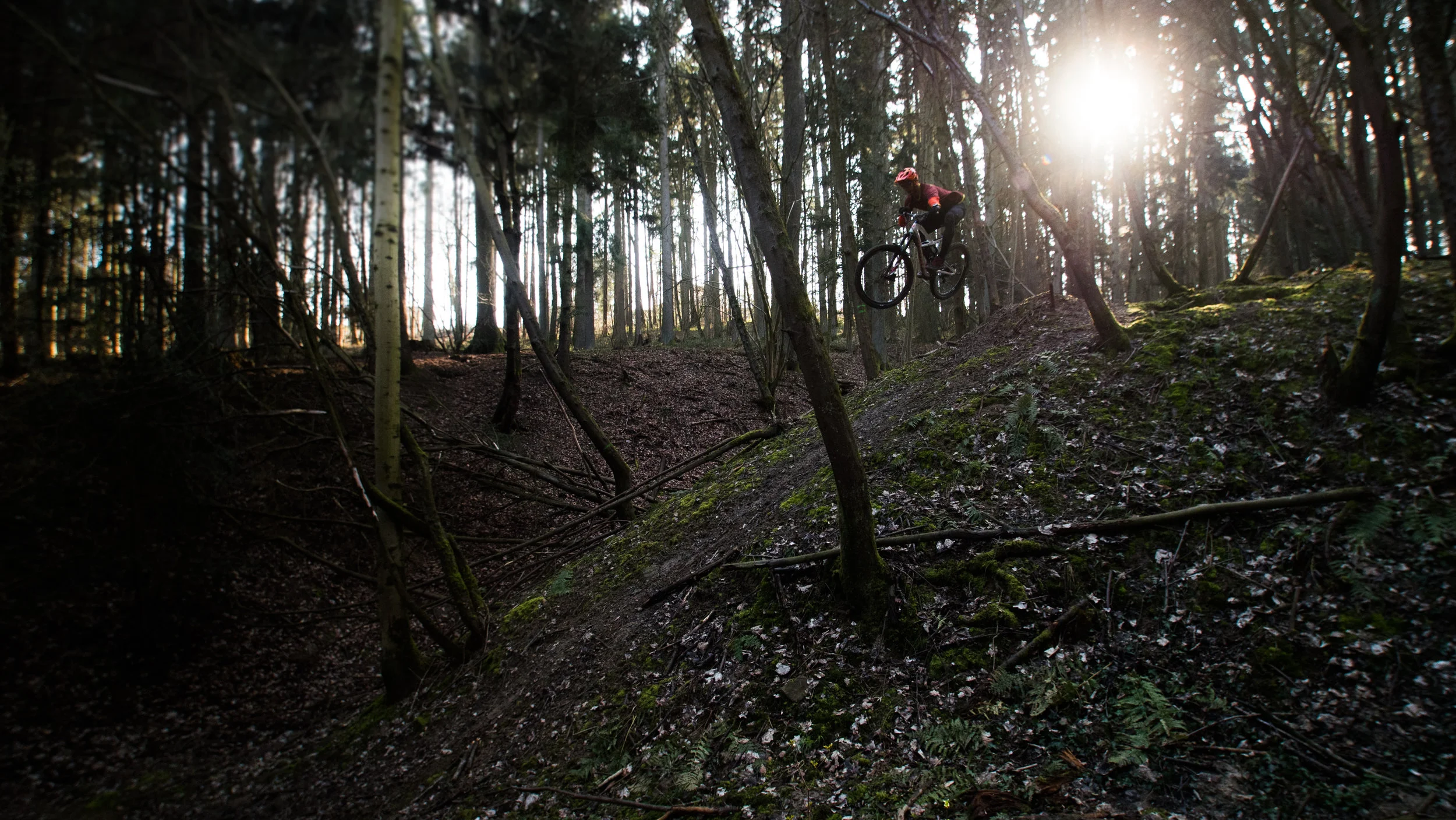 Mountain bikers are economic drivers in smaller communities