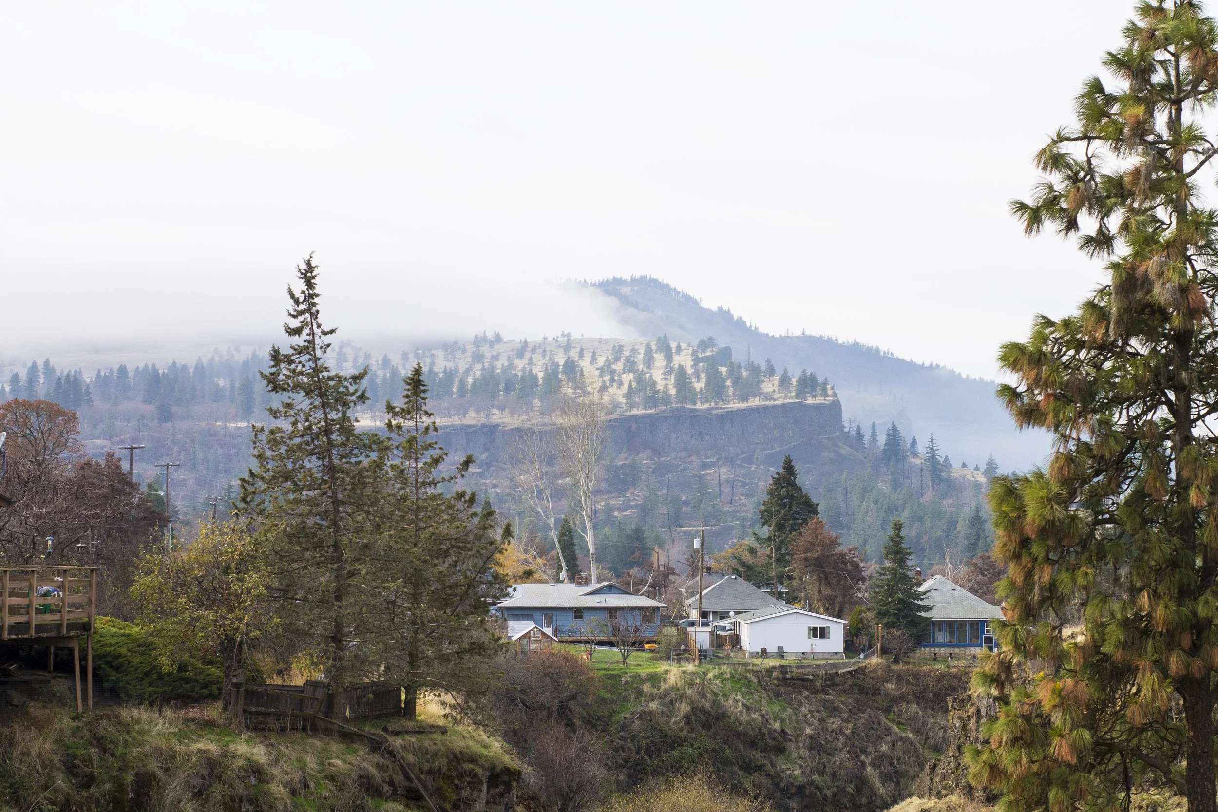 mosier (1 of 1).jpg