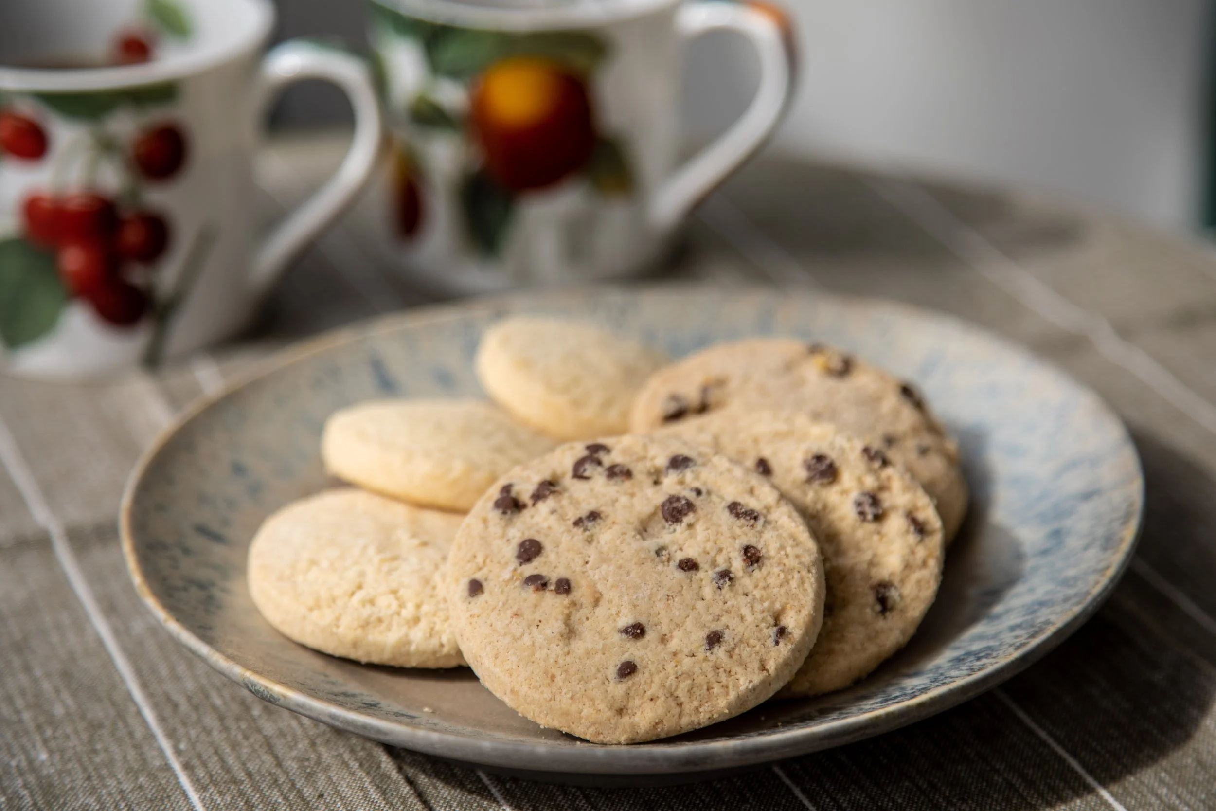 Contact Us — Lazy Day Foods