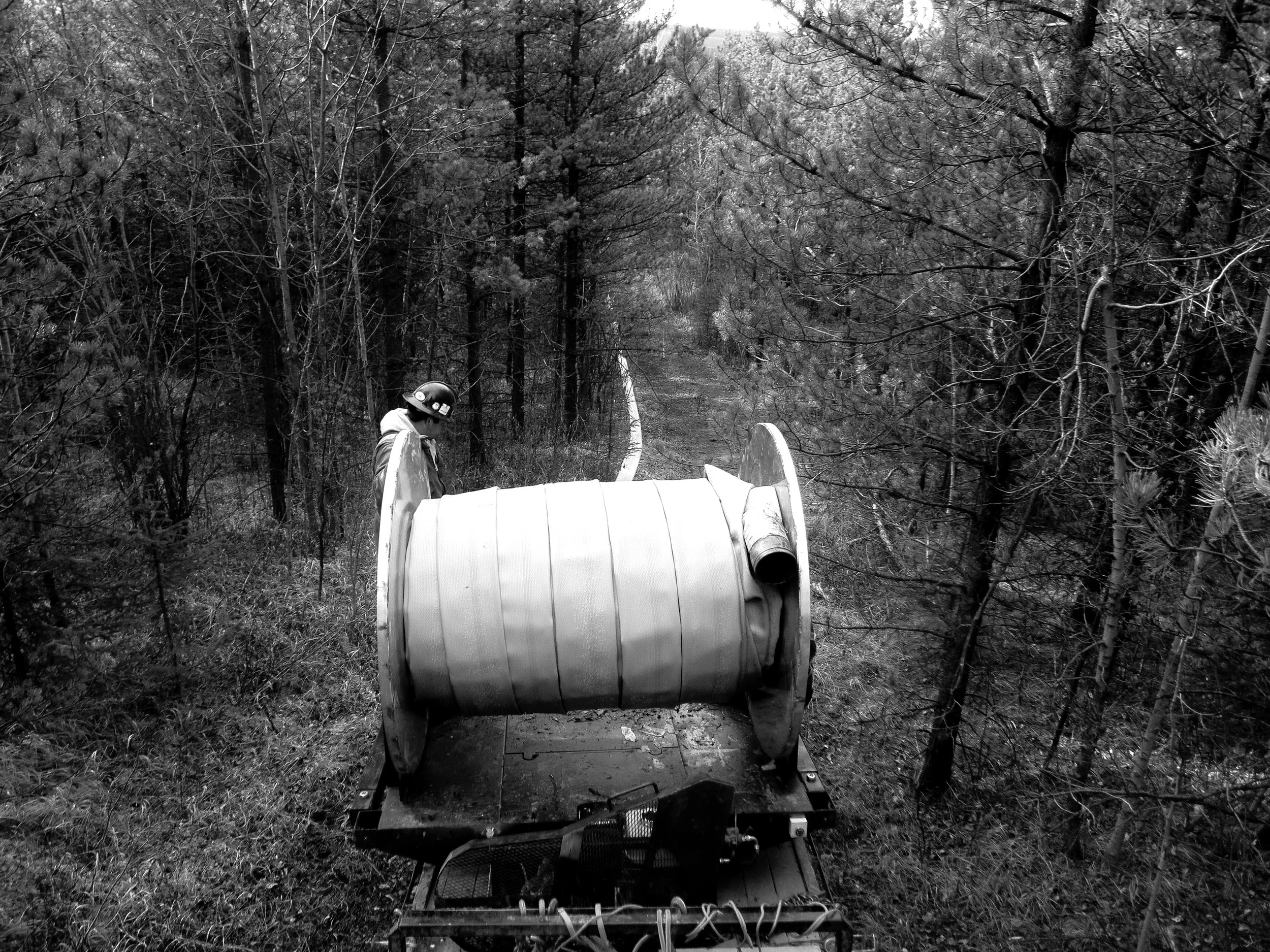Spooler in trees.jpg
