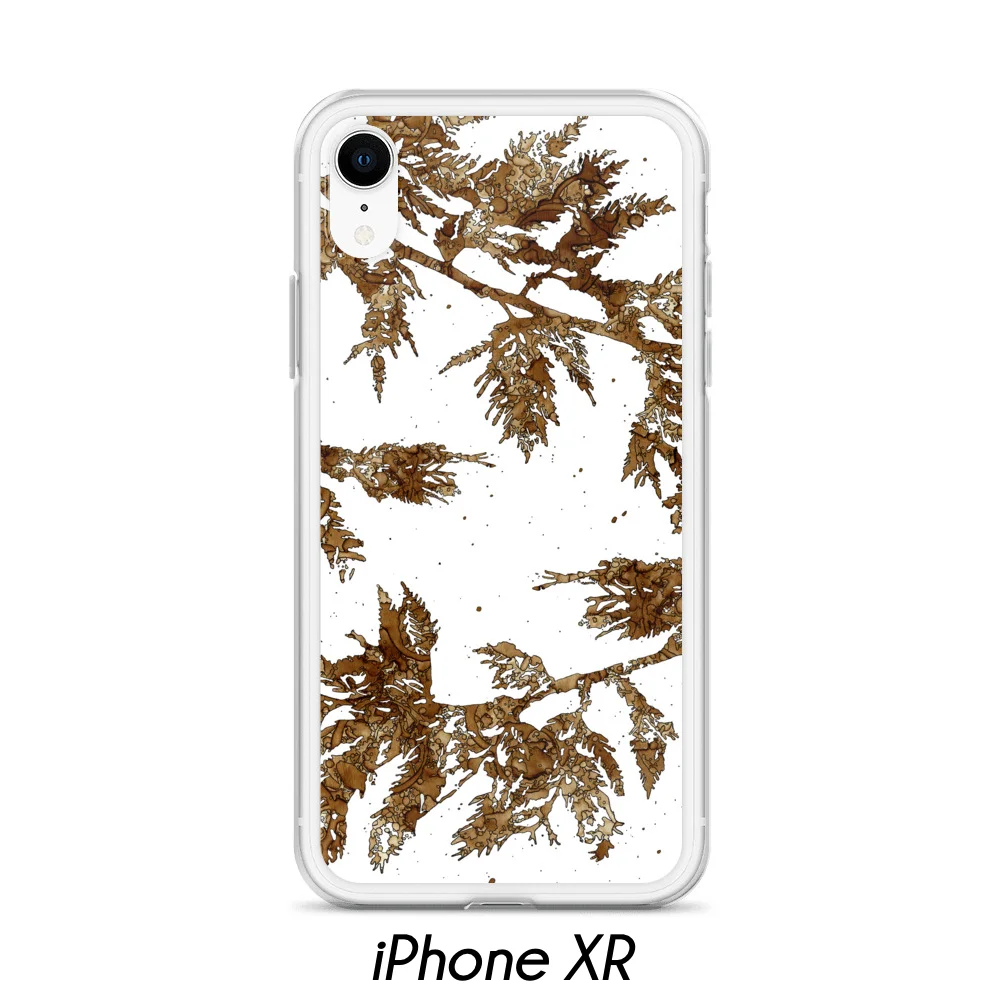 Cedar - iPhone XR.jpg