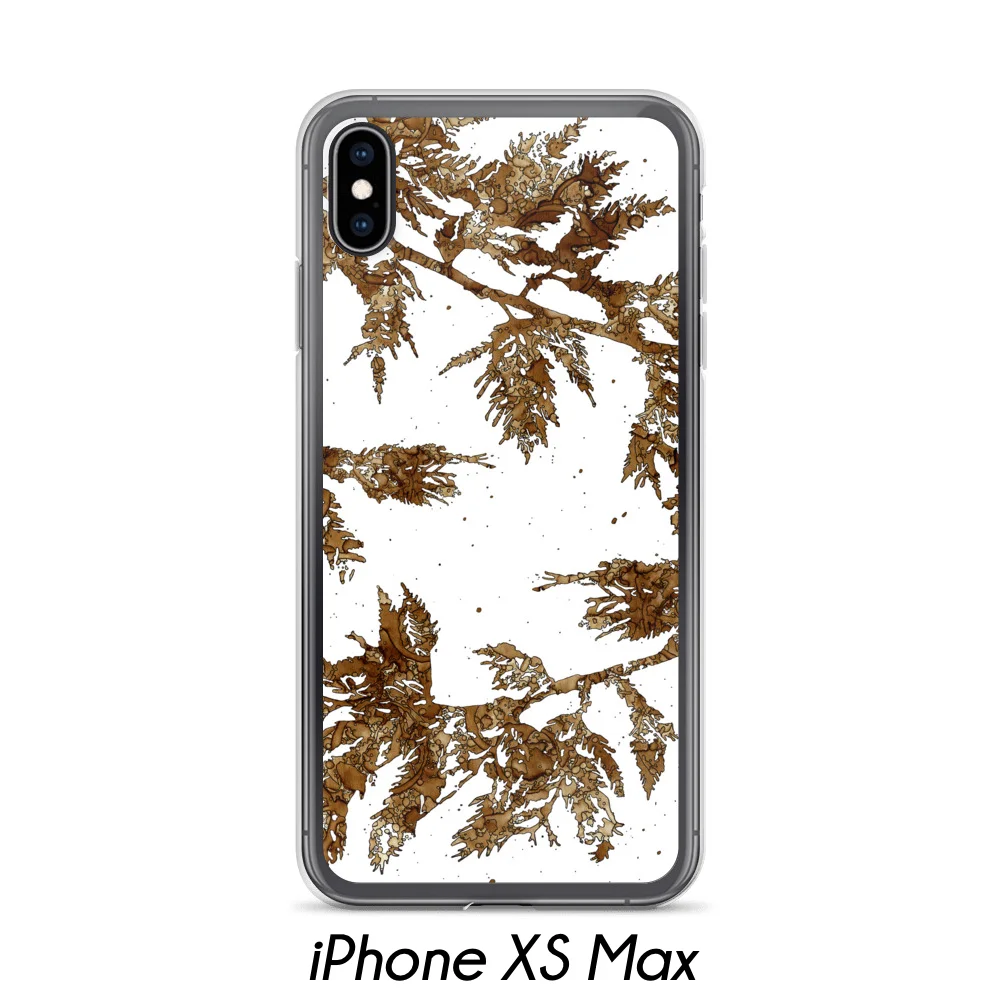 Cedar - iPhone XS Max.jpg