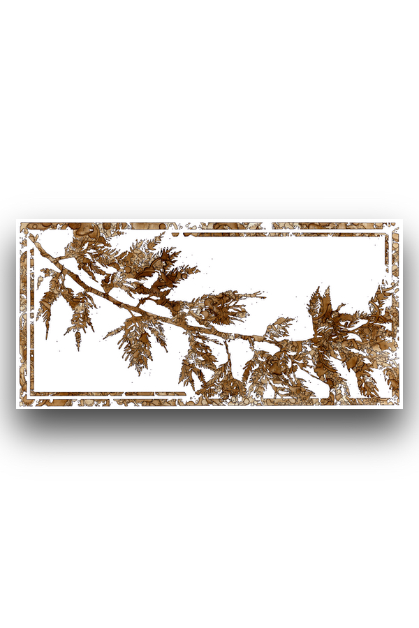 Cedar - Product.jpg